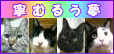 *++ ちょびブロ ++* *++ ちょびブロ ++*