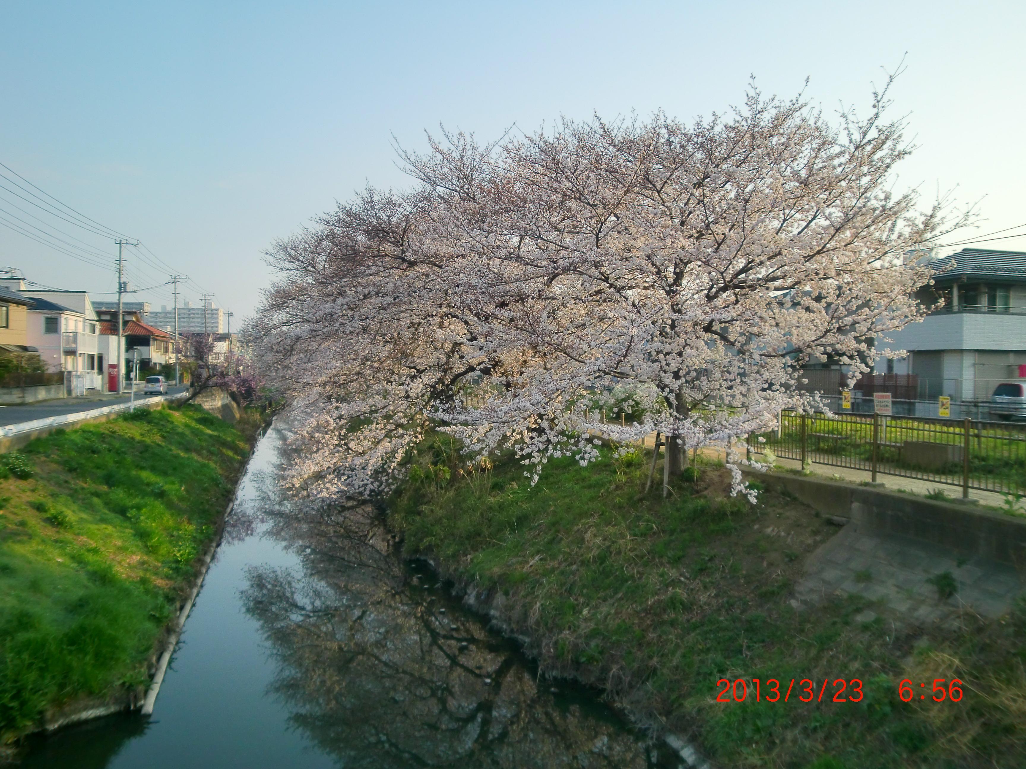 ��_�ϑ��n�_�ł��B���N�����\�}�ŎB�e���Ă��܂��@