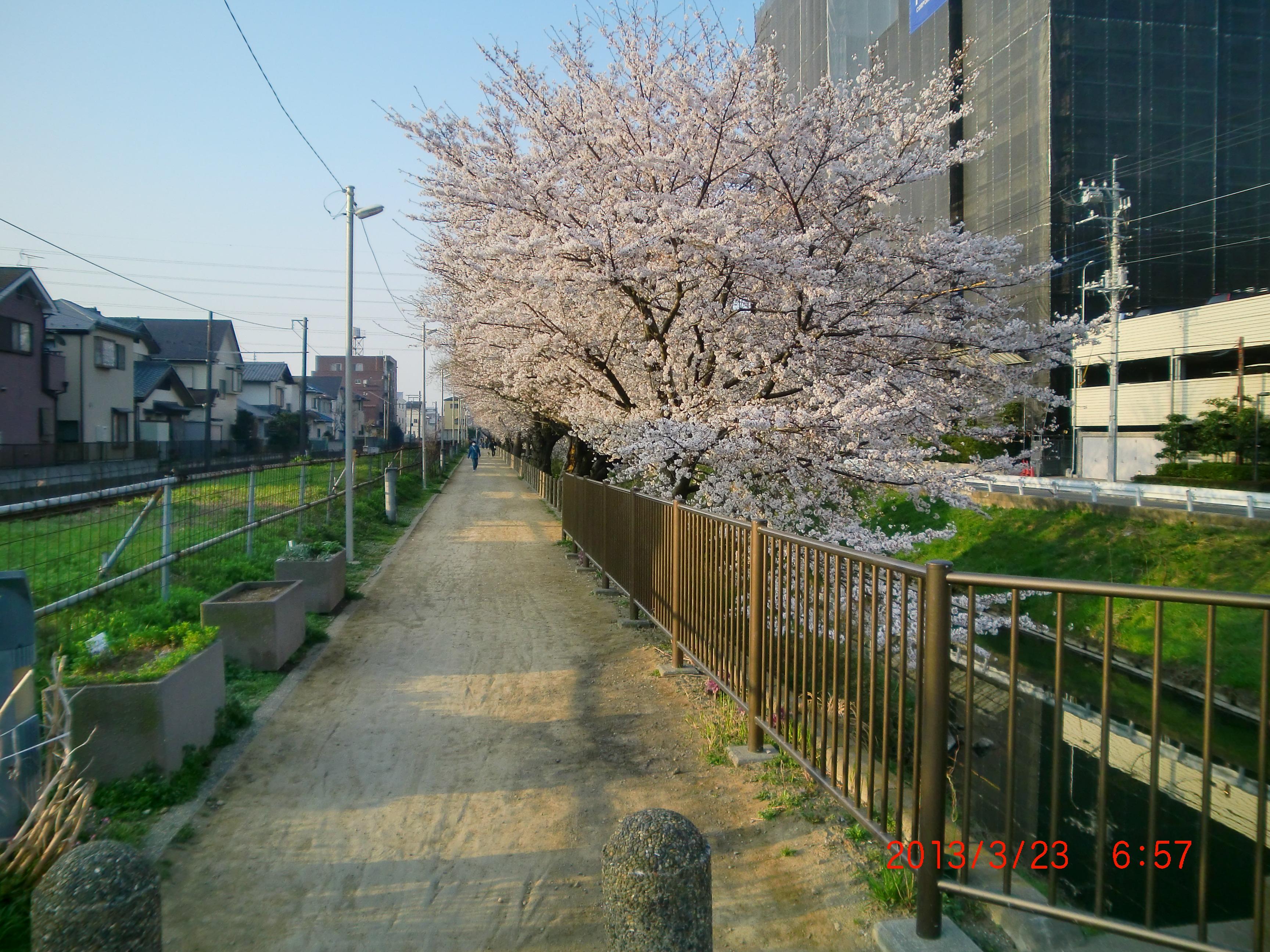 �w�i�̃}���V�����͑�K�͏C�U�̍Œ��ł�