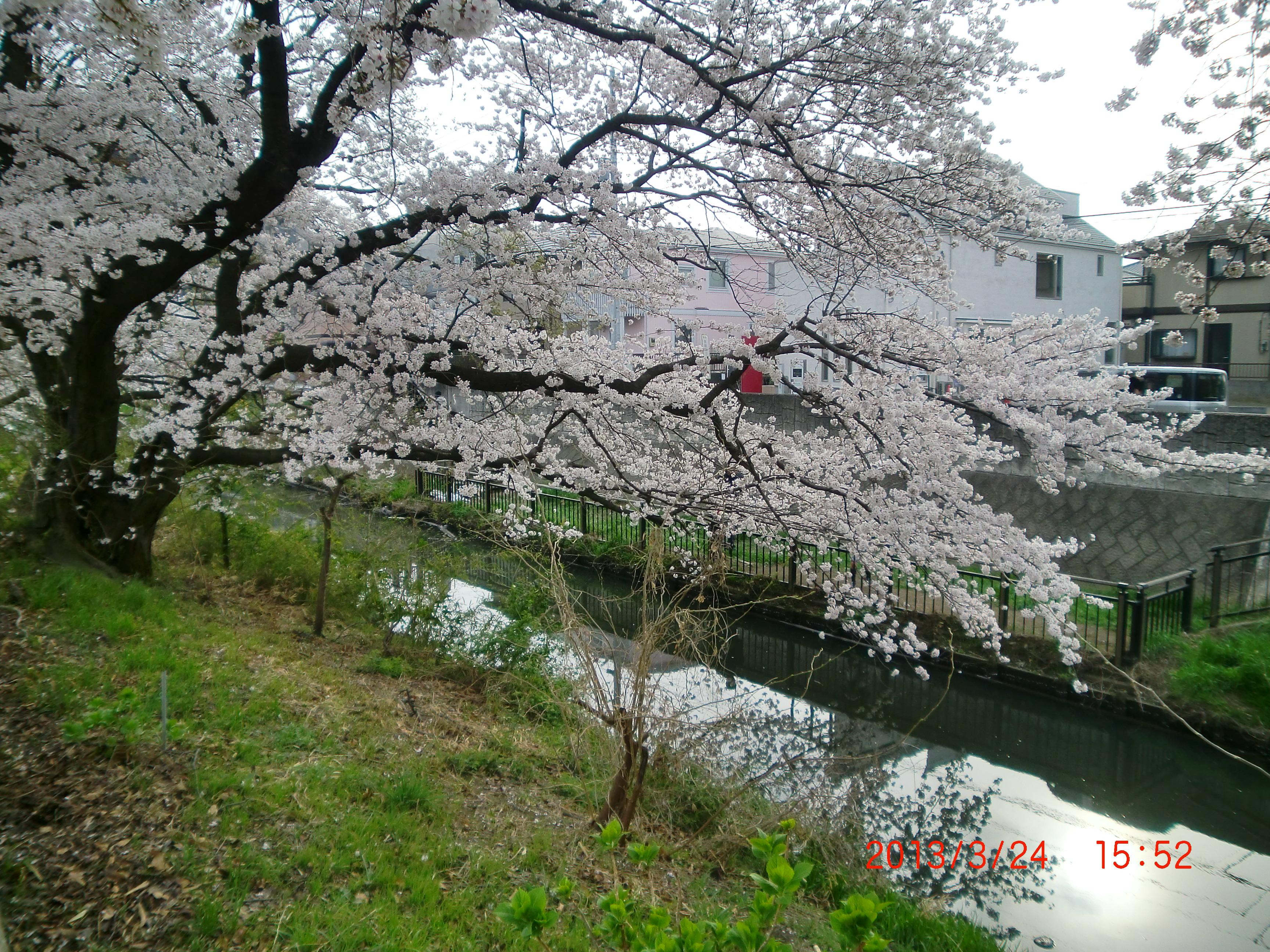 2013�N�V���̍��ł��B