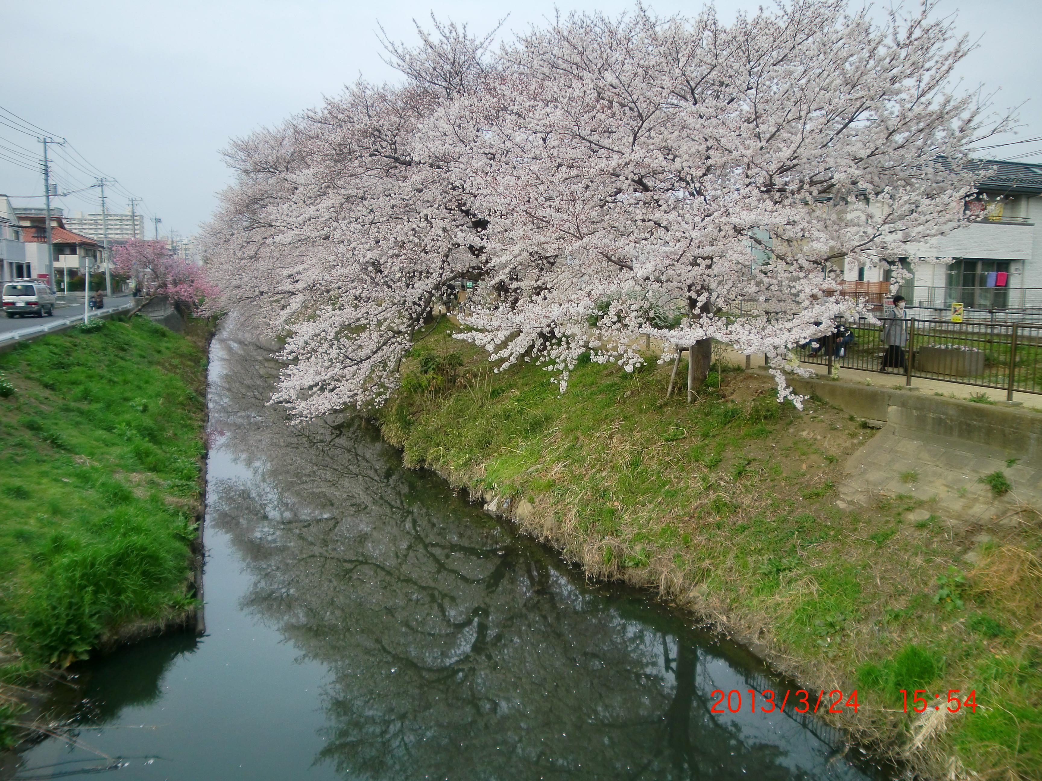 2013�N�V���̍����؂ł��B��2013�N�����J���������������B