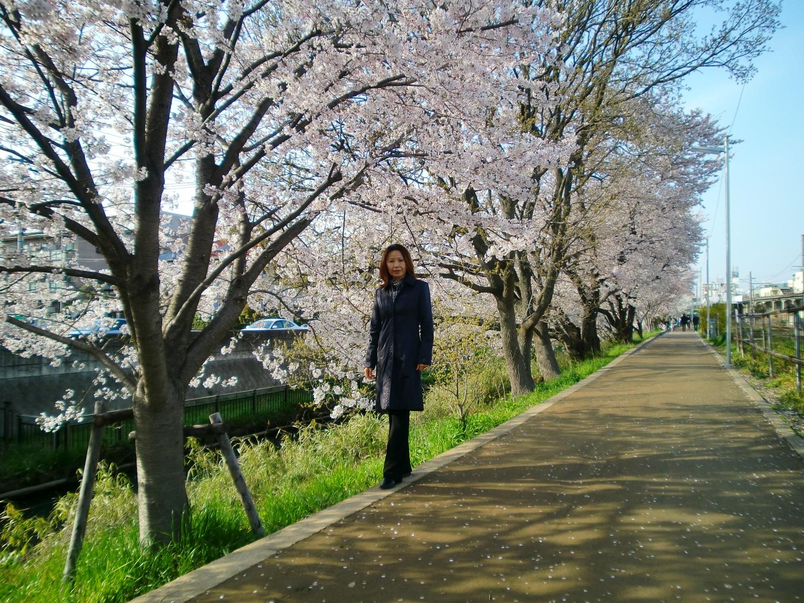 2010�N�t�A���N�̉Ԃ͒������ԍ炢�Ă��܂����B