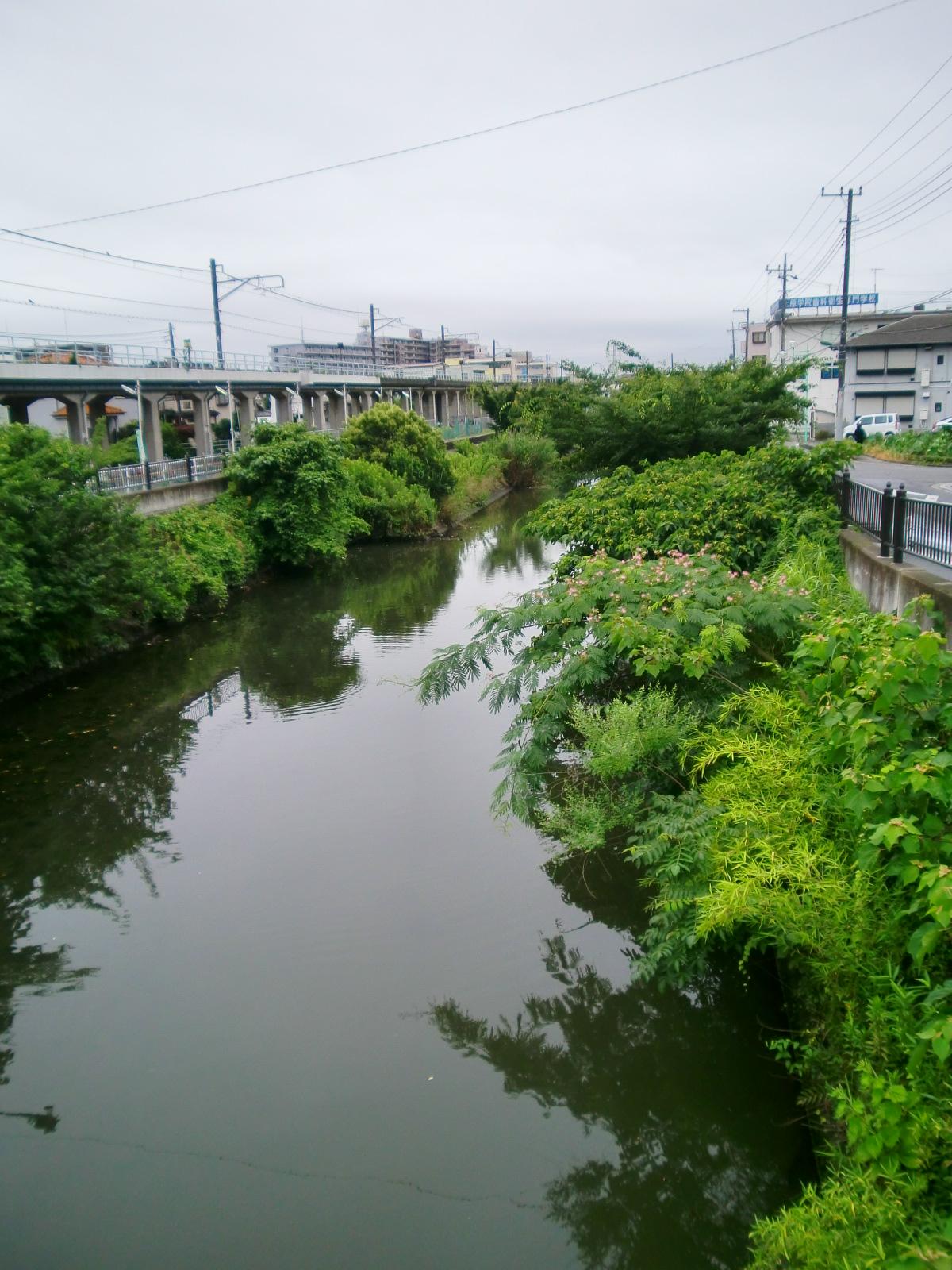 �V�K�J�����牺���̔n�����ʂ�]��