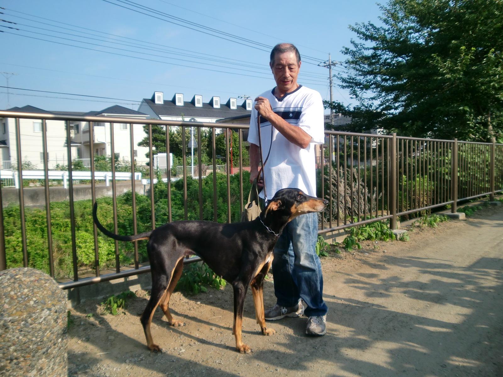 ���̖��O�́u�}�����v�ł��B�ǂ�����낵�����肢���܂��B