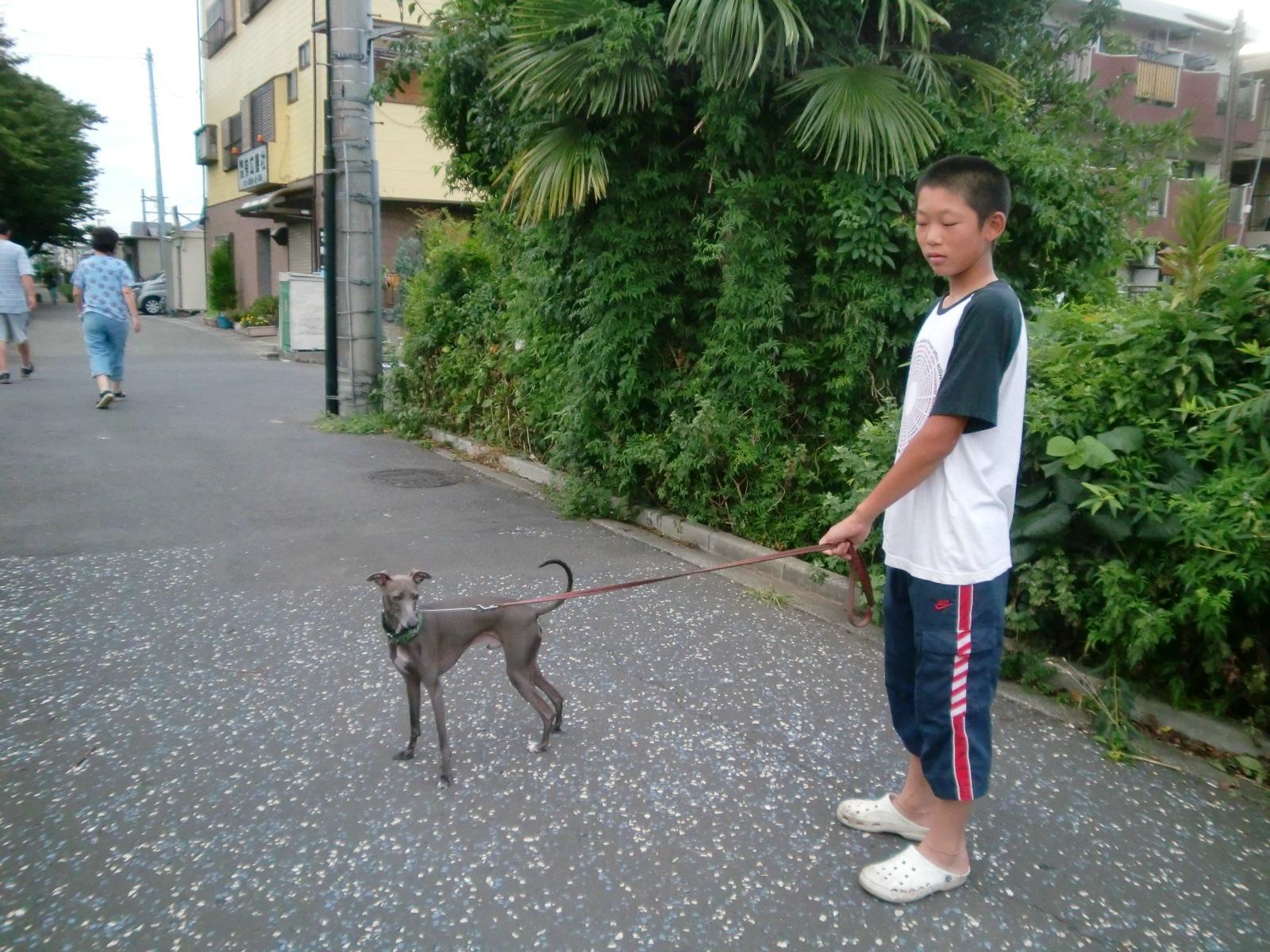 ���̖��O�́u�O���[�v�ł��B�ǂ�����낵�����肢���܂��B