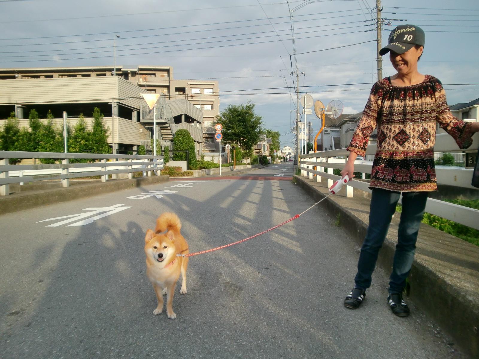 ���̖��O�́u�������v�ł��B�ǂ�����낵�����肢���܂��B