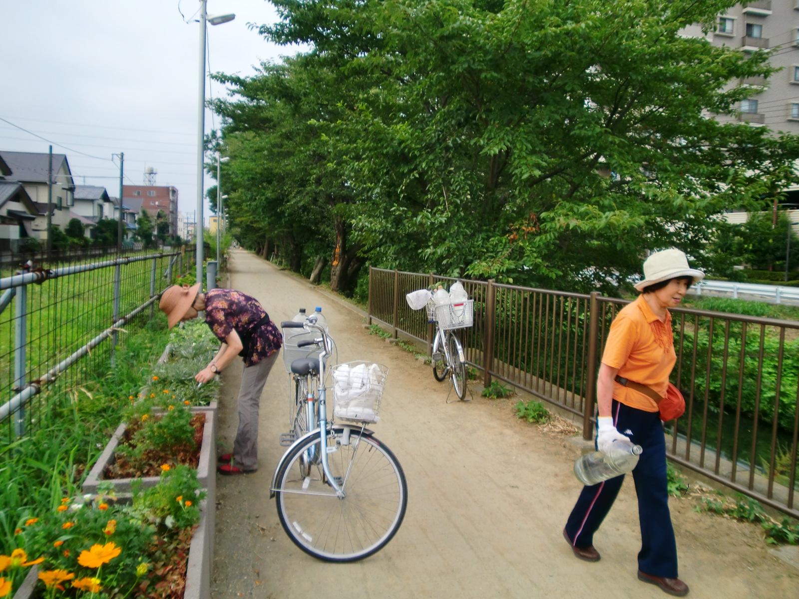 8��21�����A���C�������Ă˂ƃg�g���A�I�C�ɐ��������܂����B