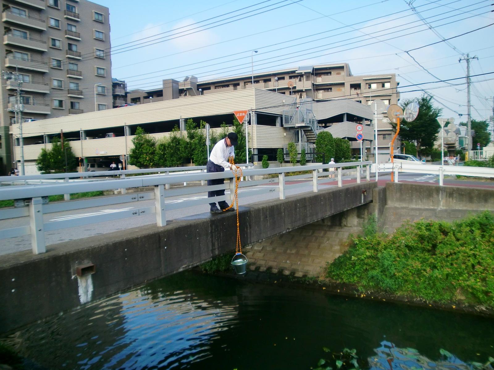 8��23�����A���ӂ��y���މ�̗L�u���H�v���Â炵�ĉԂɐ����T���Ă��܂����B