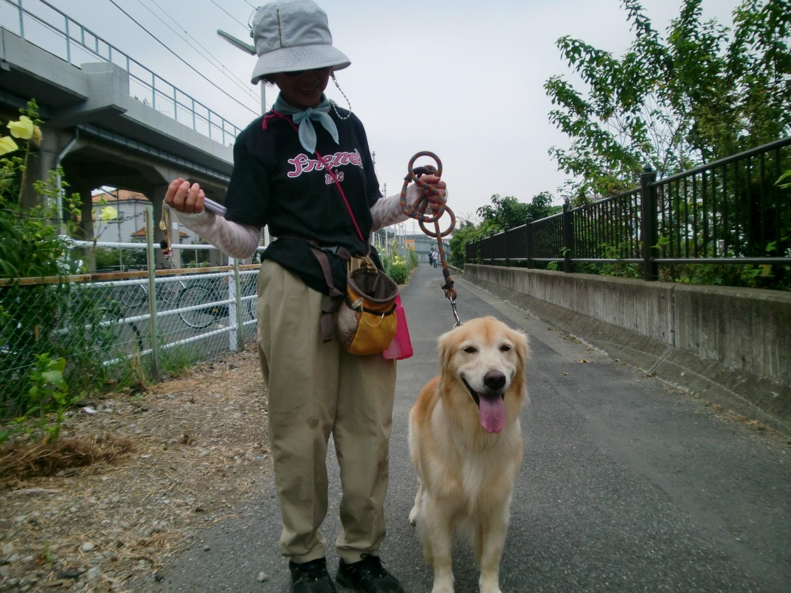 ���̖��O�́u�����v�ł��B�ǂ�����낵�����肢���܂��B