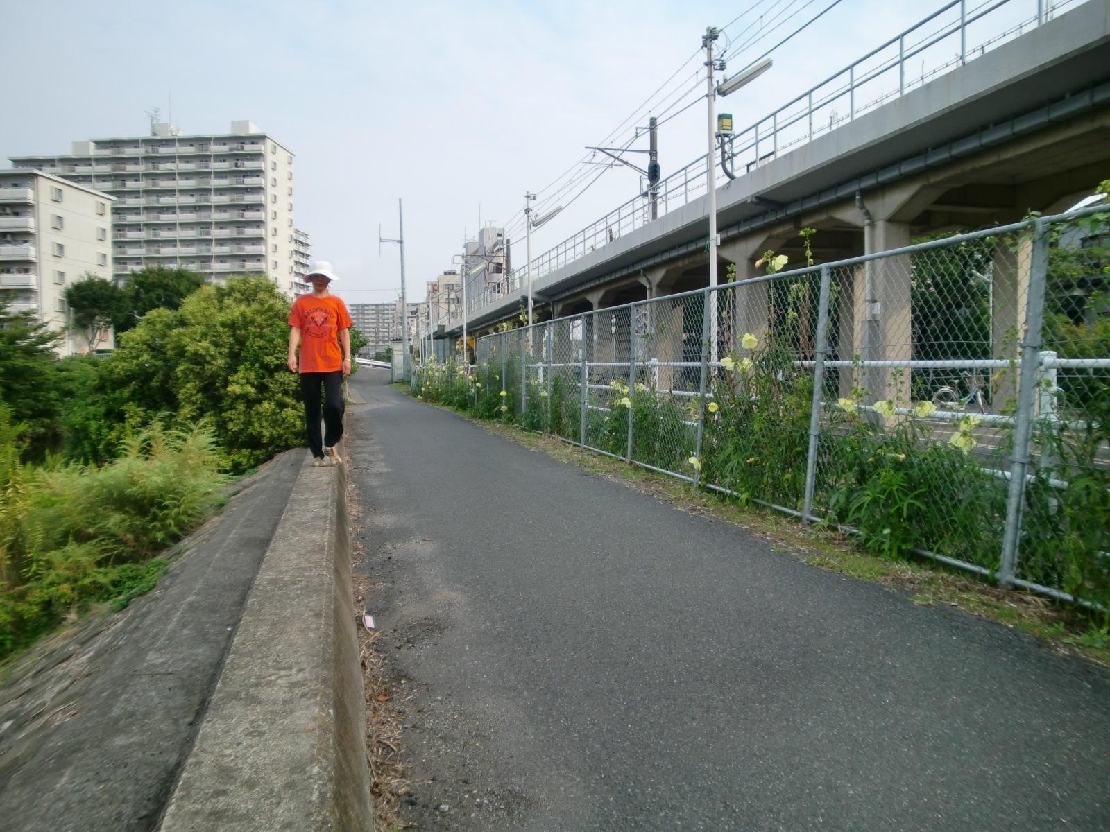 2010�N�āA�g�g���A�I�C�̉Ԃ�7�����{�`11����{�܂ō炢�Ă��܂����B