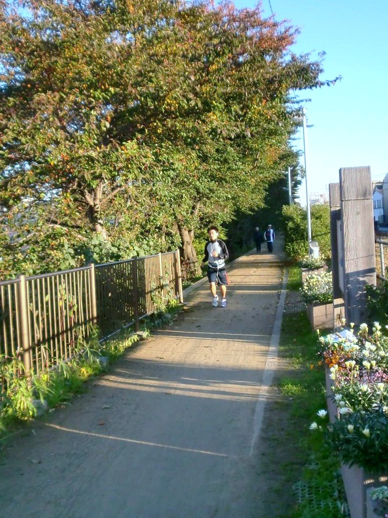 11��10�����A�ŋߗǂ������������܂��B 