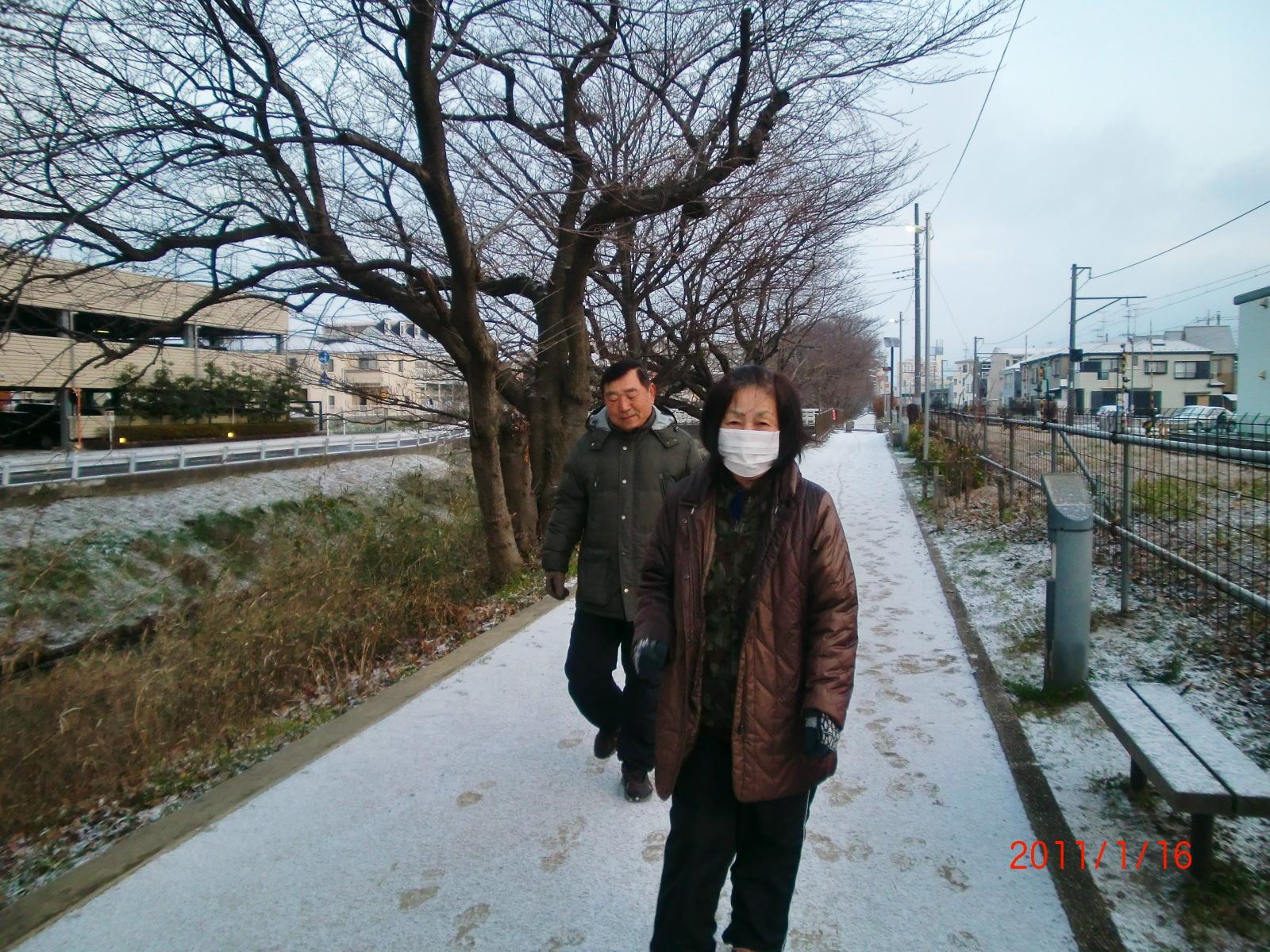 1��16�����AS�v�ȁA�l�G��ʂ��Ė������܂������ԂɎU�����Ă��܂��B