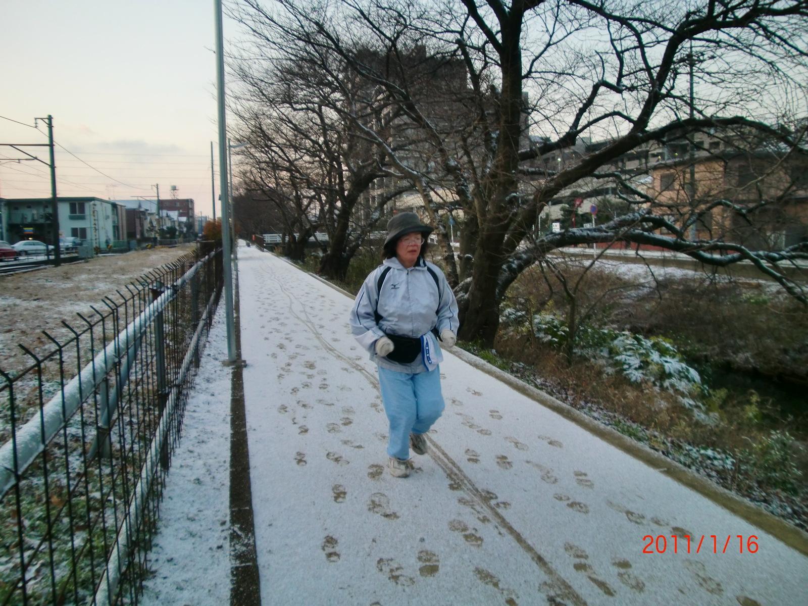 ��̓������������ɑ����Ă��܂��B