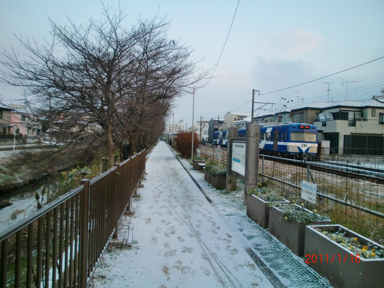 2011�N�~�A��ʂ̋␢�E���o�����܂����B�d�Ԃ͐󍆂ł��B