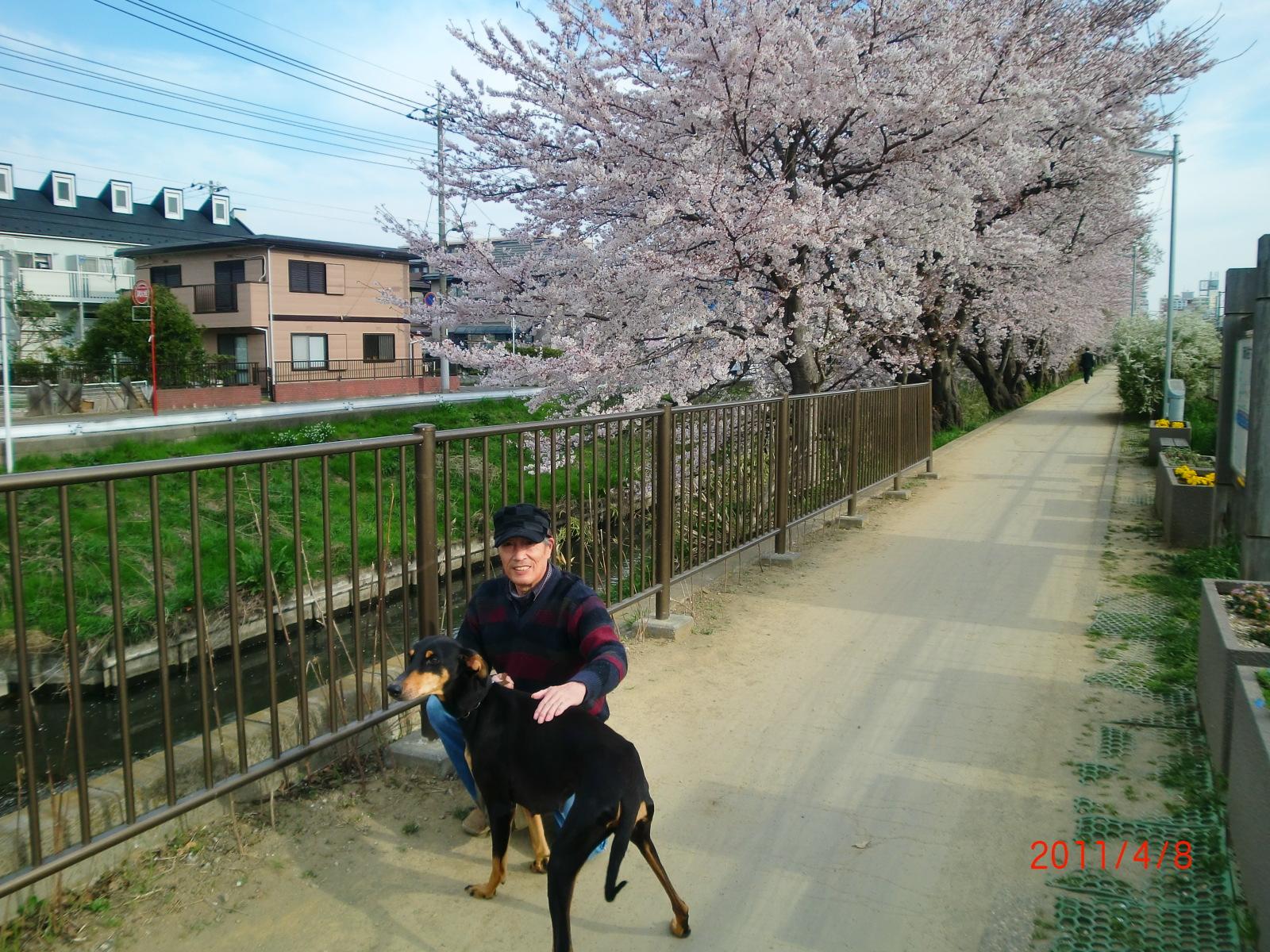 ���̖��O�́u�}�����v�ł��B�ēo��ł��B