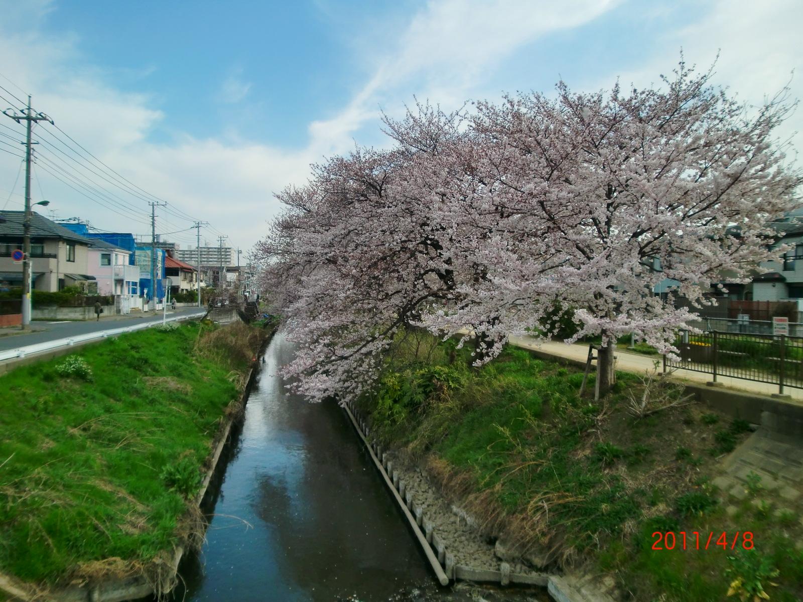 ���o��������㗬��]�ށB��_�ϑ��n�_�ł��B