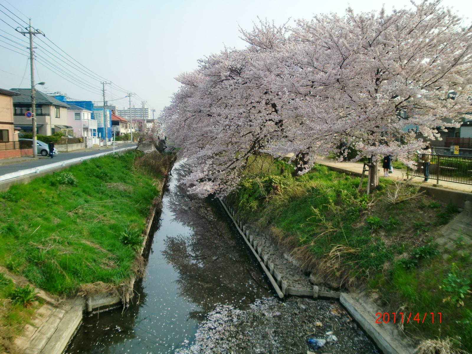 ���o��������㗬��]�ށB��_�ϑ��n�_�ł��B