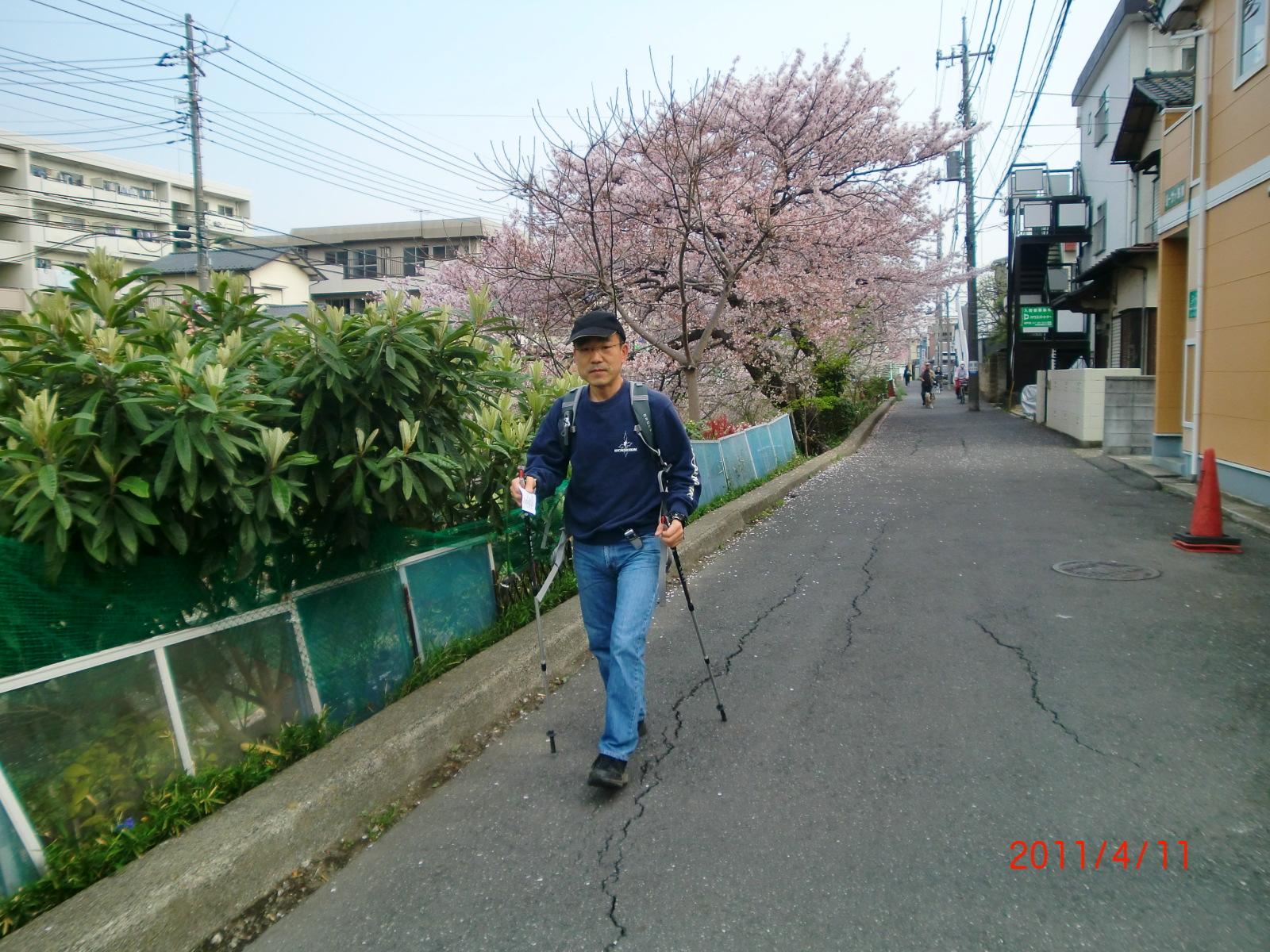 S����A�X�L�[�̃X�g�b�N�͍��ɂ��o�����Ă���g���n�߂܂����B�B