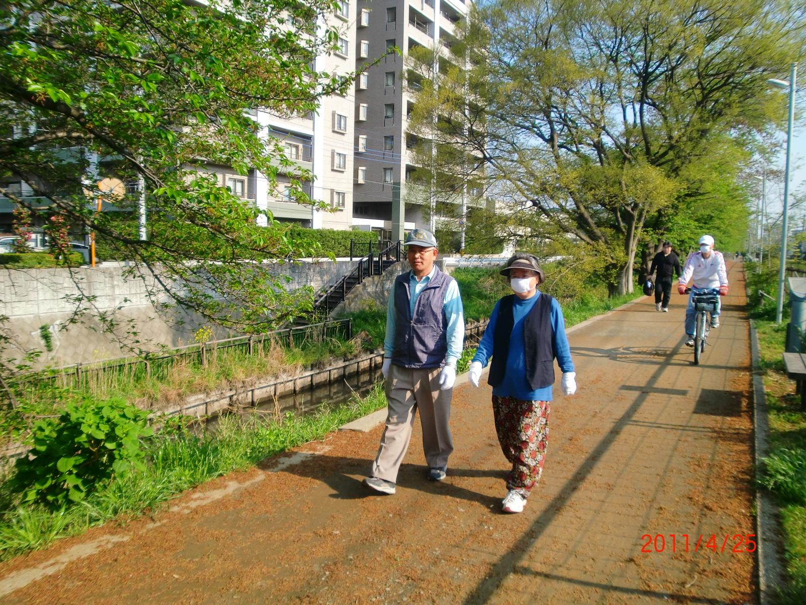 S���񂲕v�Ȃł��B�ŋߖ������܂������ԂɎU�����Ă��܂��B