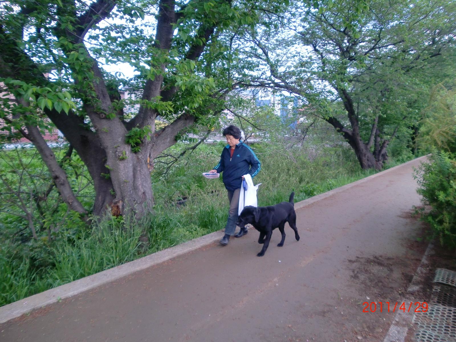 ���̖��O�́u����v�ł��B�ǂ�����낵�����肢���܂��B�����傪�z��O�̖��O�������Ă���܂����B