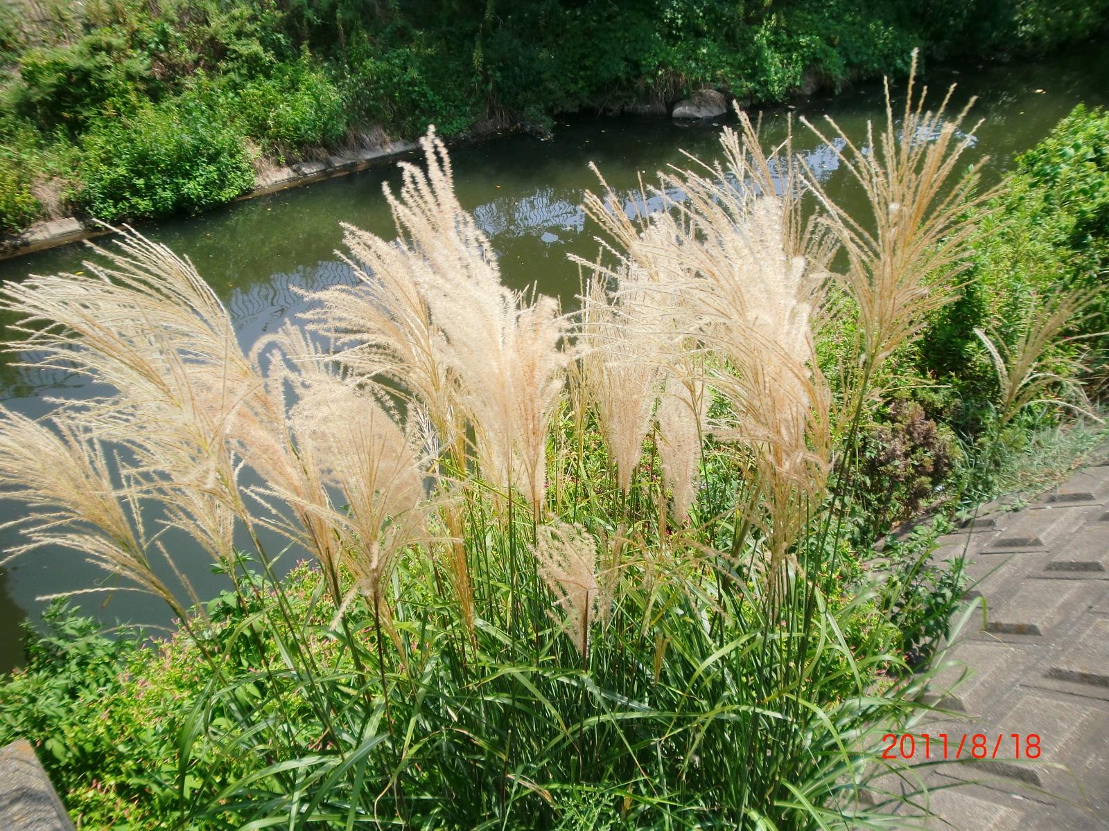 �V���̐��ӂɂ́A�ҏ��̒��ɂ��H���������܂��B 