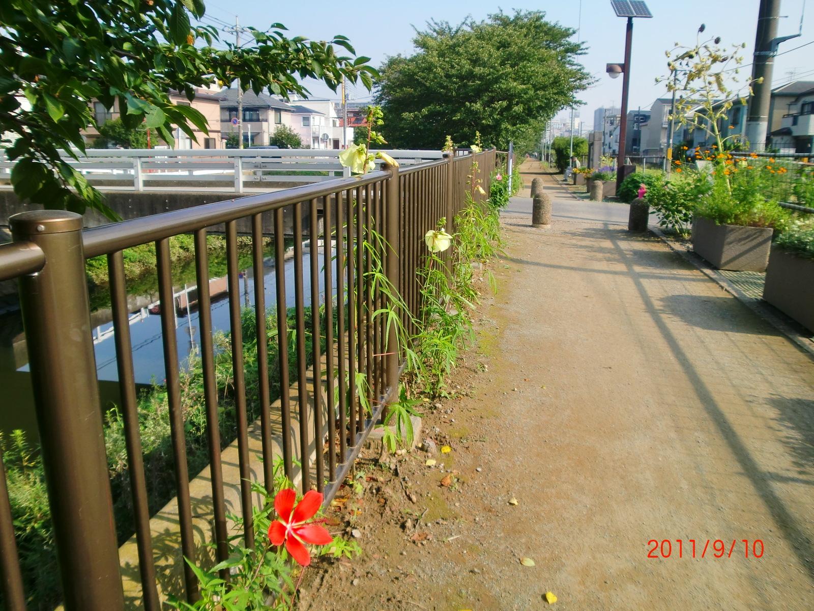 �n�C�r�X�J�X�̒��ԇ@�A�B�C�D���炫��������U�����ł��B�I�N�������Ԃł����A�炫�I���܂����B 